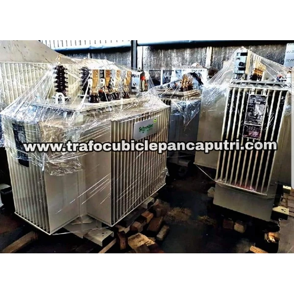 Distribution Transformer Schneider Panca Putri